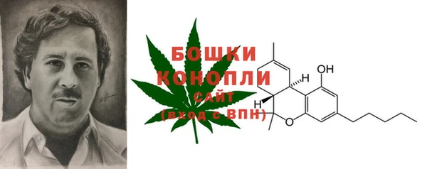 прущие грибы Аркадак