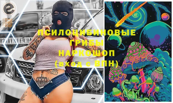 спайс Мегион