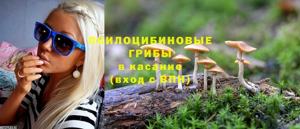 спайс Мегион
