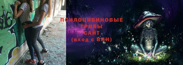 спайс Мегион