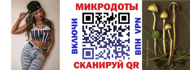 продажа наркотиков  Чердынь  Галлюциногенные грибы Magic Shrooms 
